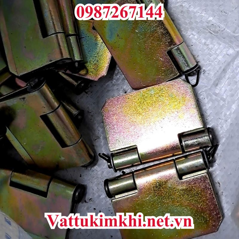bản lề ô tô 2