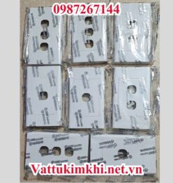 mặt 2 lỗ s18 sino vanlock
