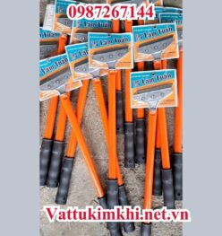 Đặc điểm nổi bật của Sủi tường Lâm Tuấn