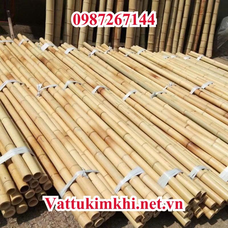Ứng dụng nổi bật của cây gậy trúc khô trang trí