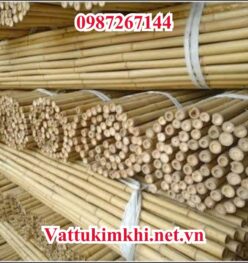 Ứng dụng nổi bật của cây gậy trúc khô trang trí