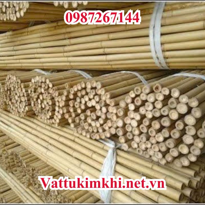 Ứng dụng nổi bật của cây gậy trúc khô trang trí