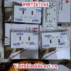 Ổ đôi 3 chân Lioa